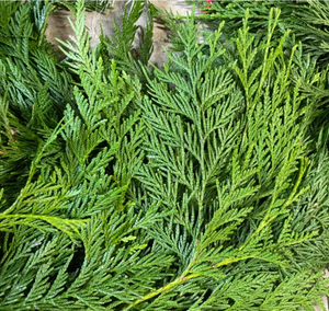 Fresh Cedar Garland