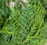 Fresh Cedar Garland
